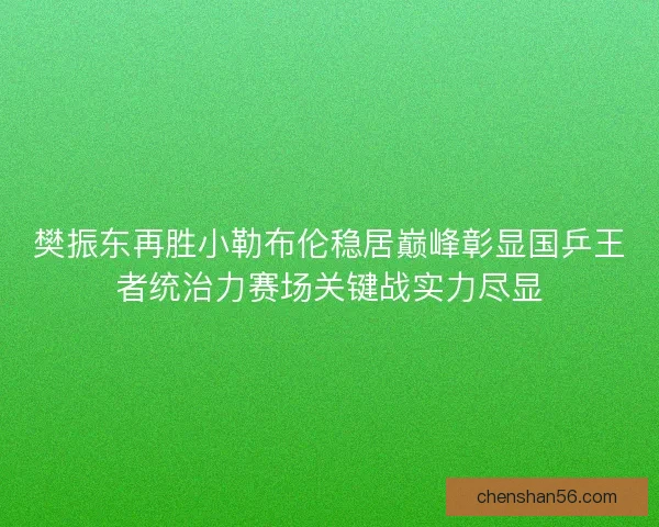 樊振东再胜小勒布伦稳居巅峰彰显国乒王者统治力赛场关键战实力尽显