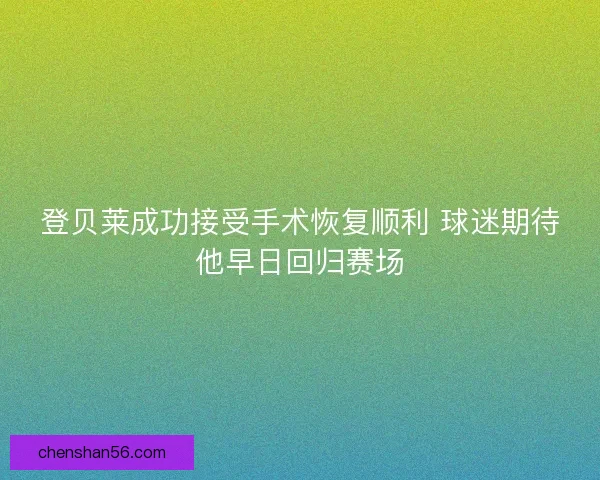 登贝莱成功接受手术恢复顺利 球迷期待他早日回归赛场