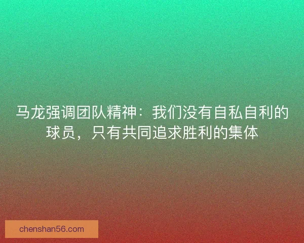 马龙强调团队精神：我们没有自私自利的球员，只有共同追求胜利的集体