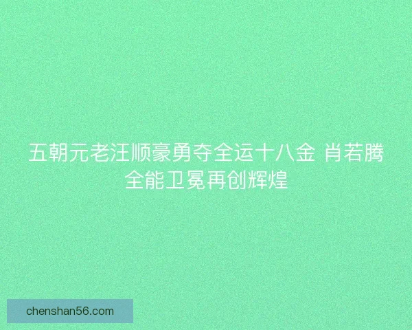 五朝元老汪顺豪勇夺全运十八金 肖若腾全能卫冕再创辉煌